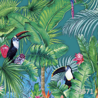 Amazonia