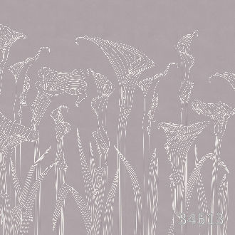 Kalla lilies